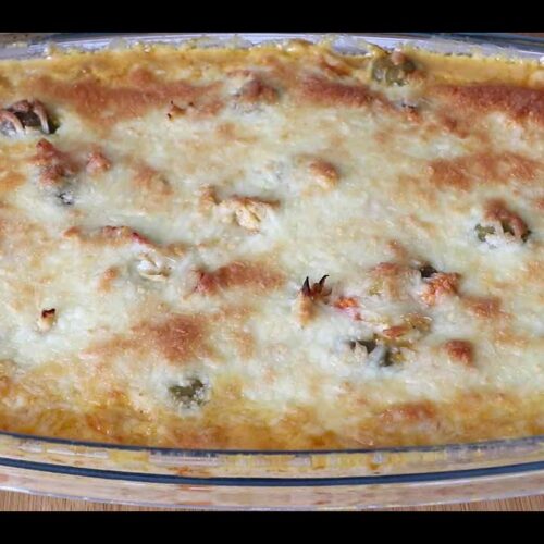fricasse de frango low carb fácil