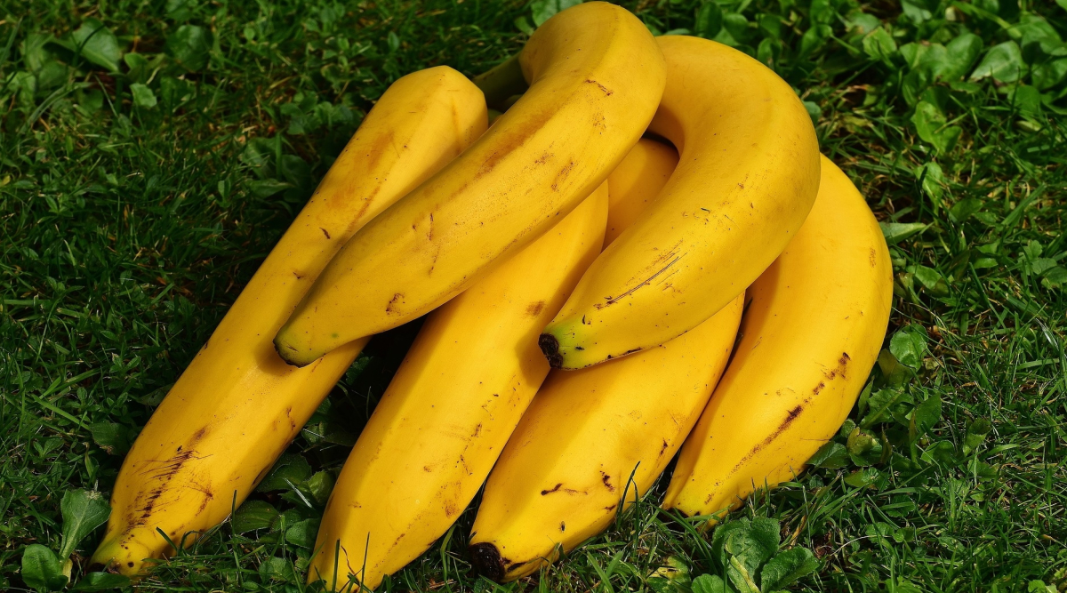 Dieta da banana matinal
