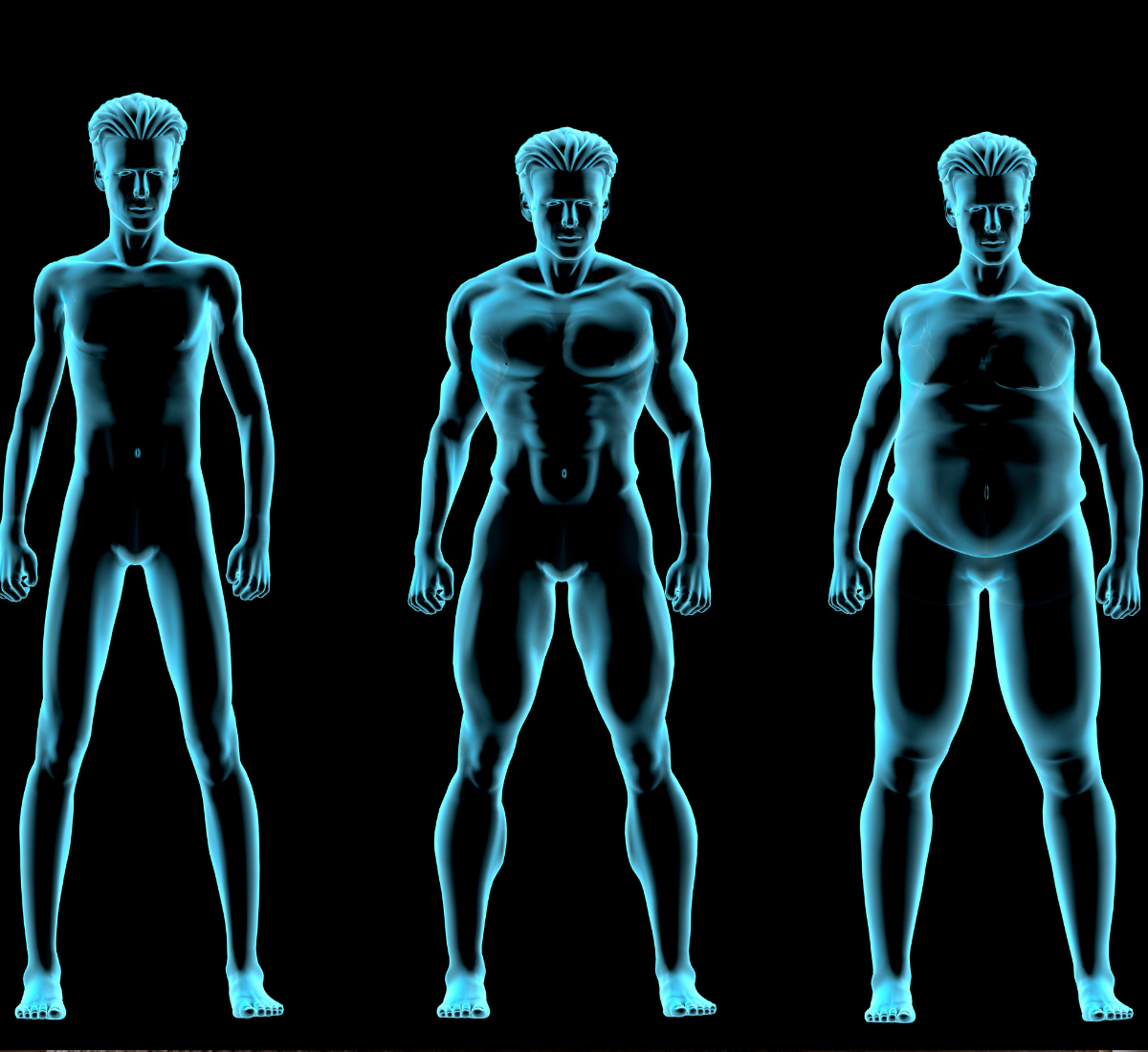 Biótipo corporal: descubra o seu
