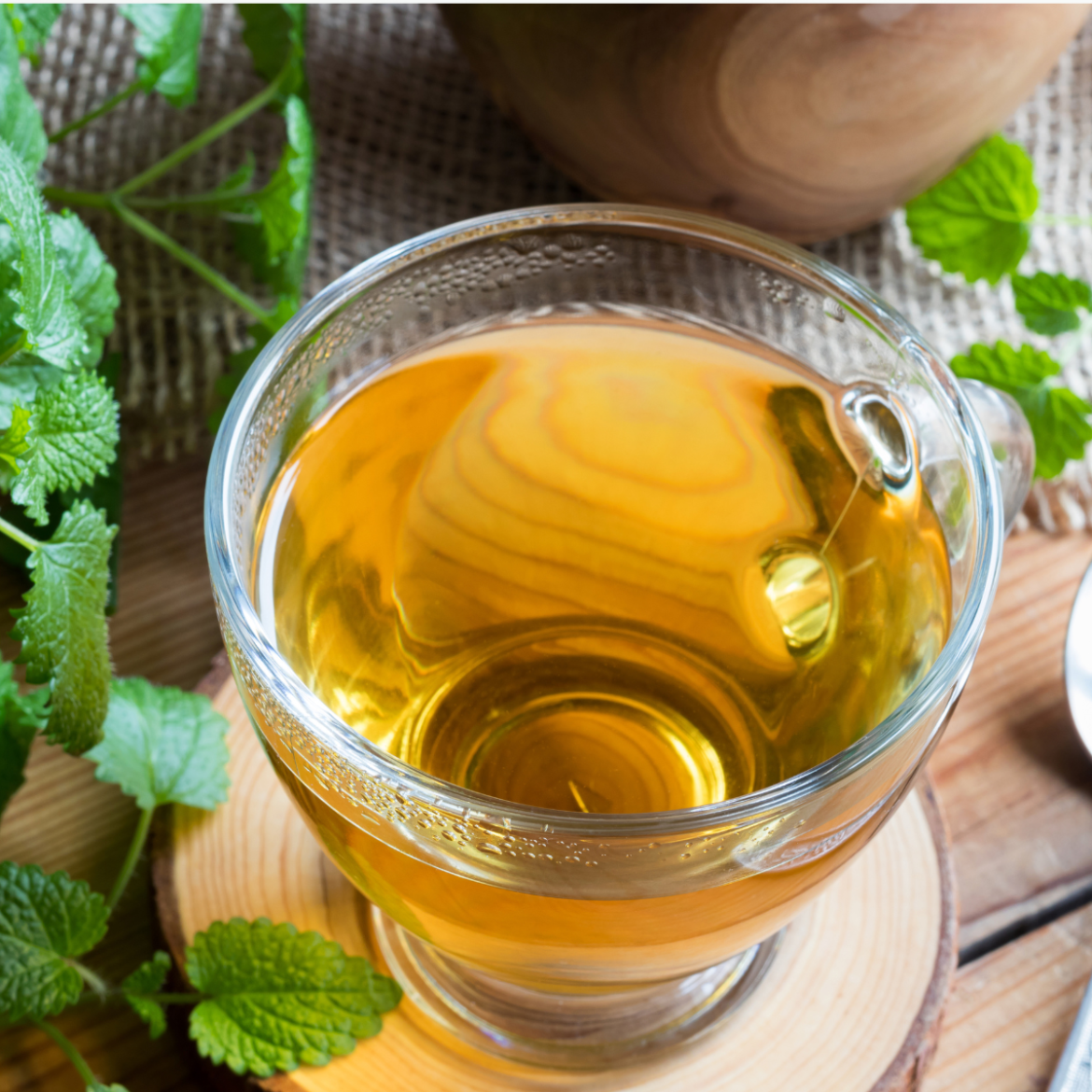 Chá de melissa: para que serve e como fazer