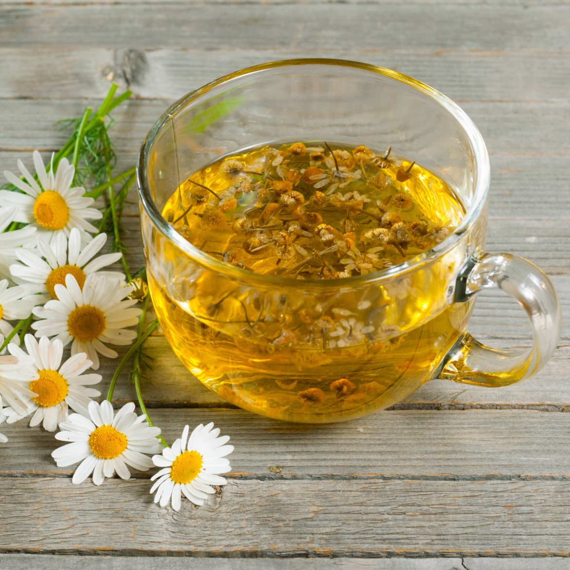 Quais chás grávida pode tomar? Entenda.