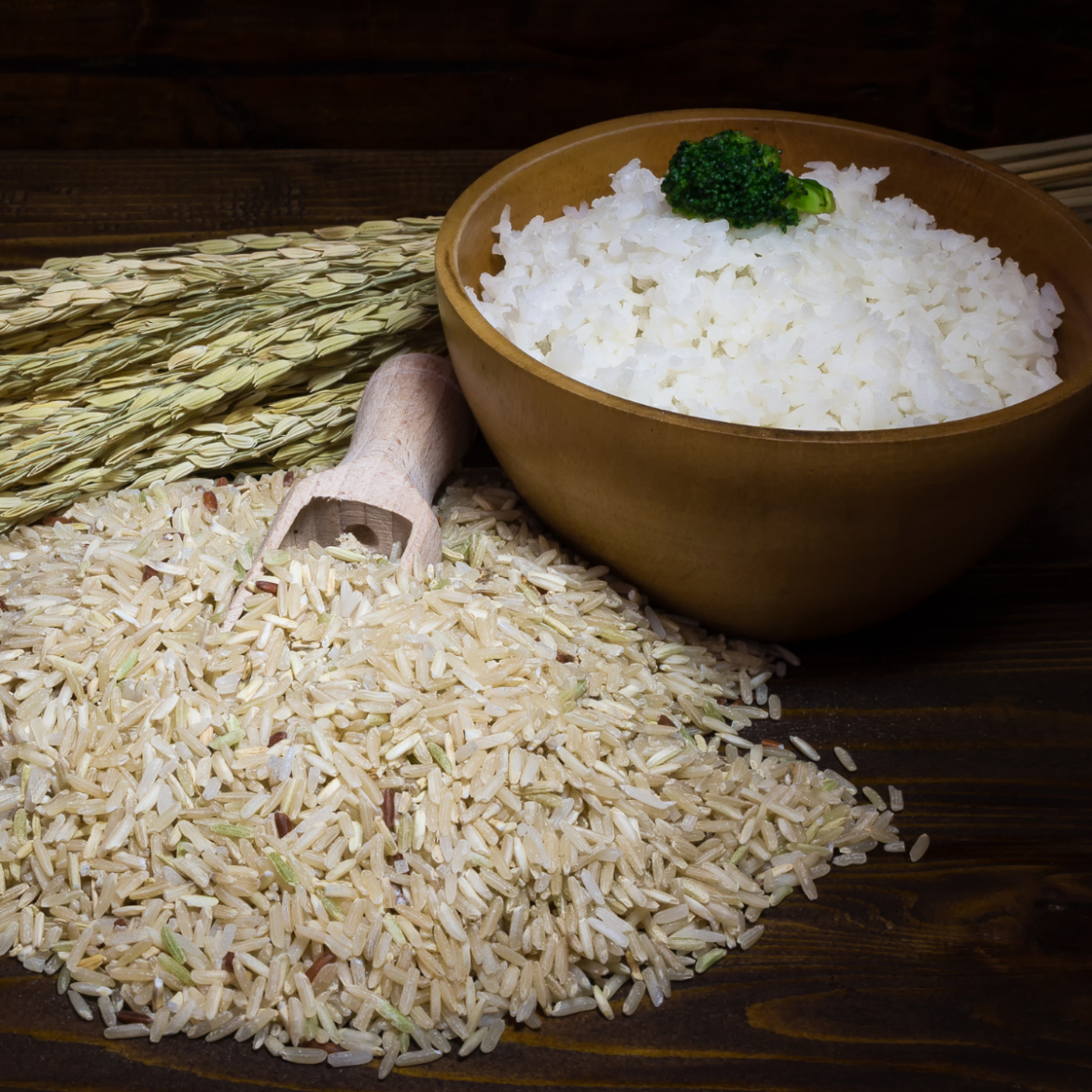 arroz tem glúten? Entenda.