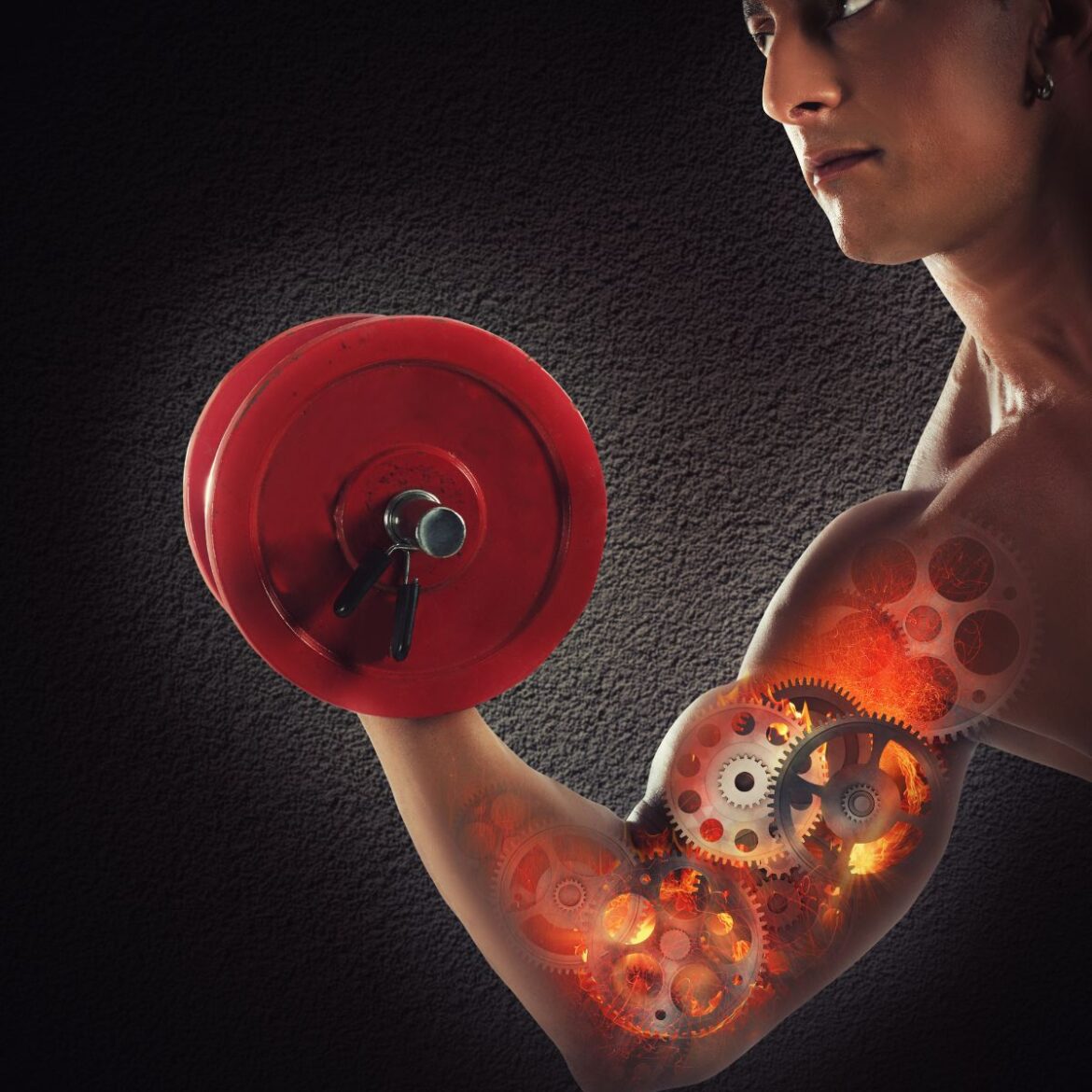 O que é catabolizar? Entenda esse processo