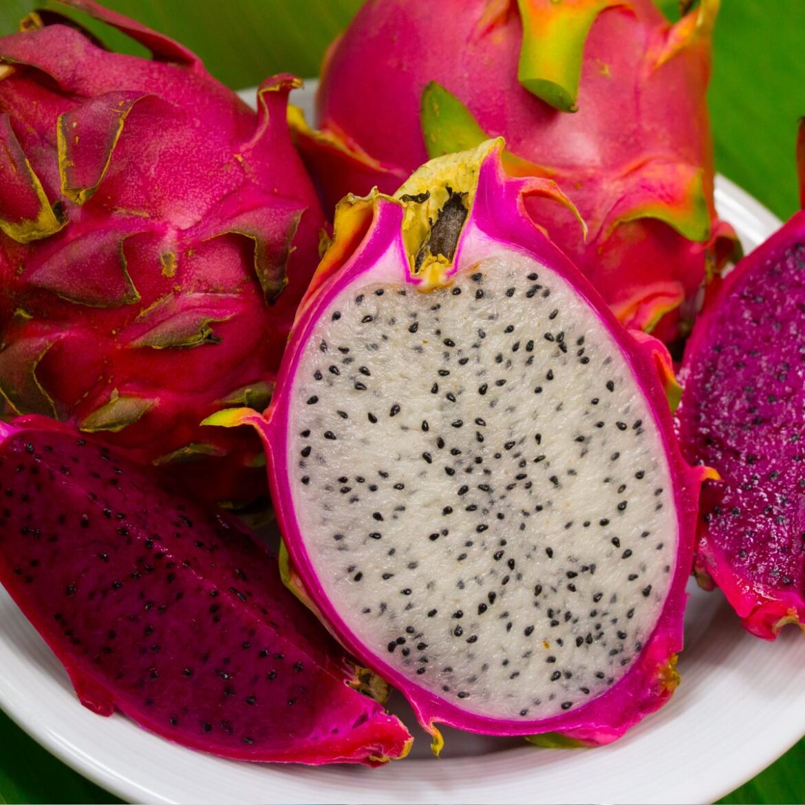 Benefícios da Pitaya para a saúde Benefícios da Pitaya para a saúde