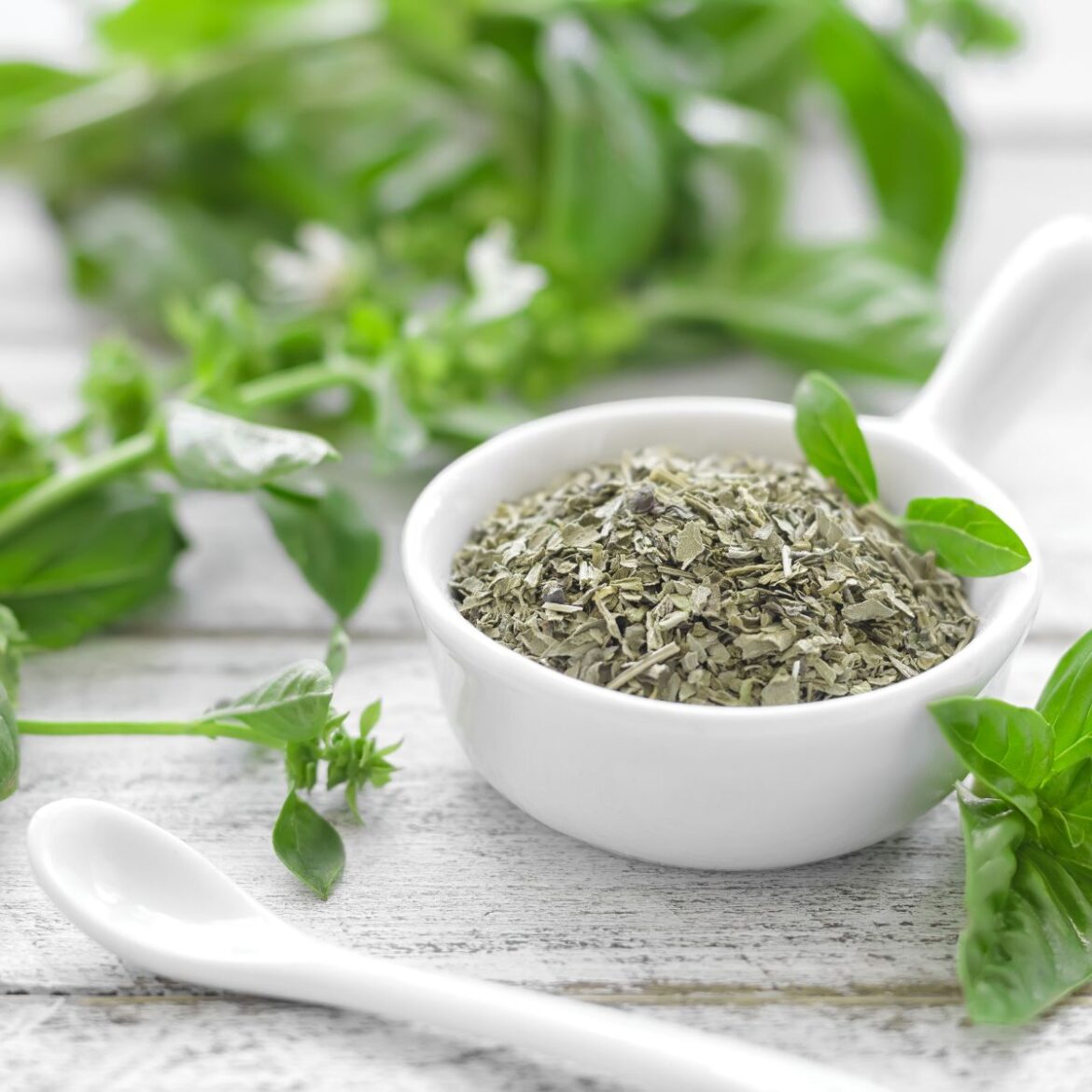 Chá de manjericão: benefícios e como fazer
